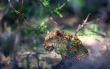 Explore South Africa - 22 destinations